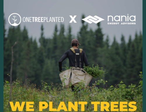 Nania Energy Advisors Partners with One Tree Planted