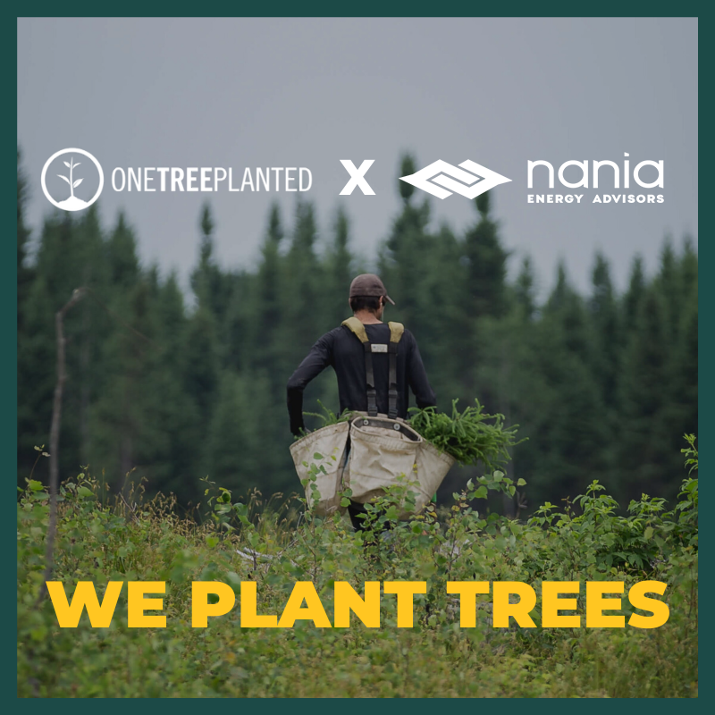 Nania Energy and One Tree Planted Partnership